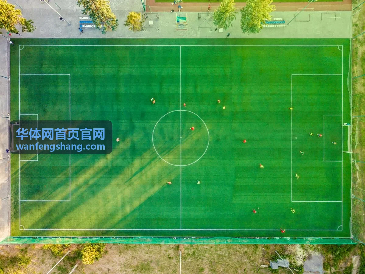 华体网首页官网城市联赛鹿城骑士队徽标