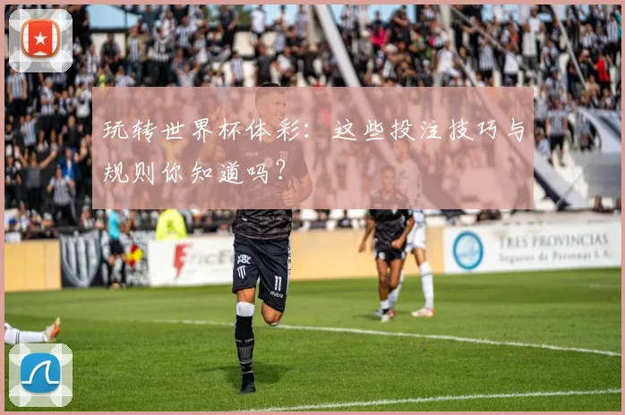 玩转世界杯体彩：这些投注技巧与规则你知道吗？