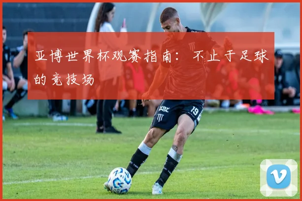亚博世界杯观赛指南：不止于足球的竞技场